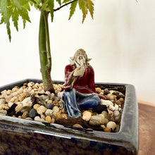 Load image into Gallery viewer, Japanese Maple