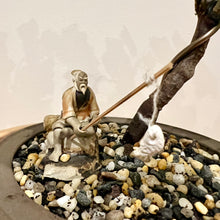 Load image into Gallery viewer, Trident Maple