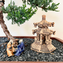 Load image into Gallery viewer, Juniper Squamata (Large)