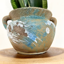 Load image into Gallery viewer, Sansevieria Whitney
