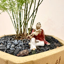 Load image into Gallery viewer, Asparagus Fern