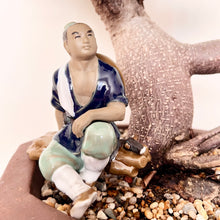 Load image into Gallery viewer, Large Grafted Buddha Belly