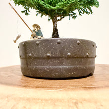 Load image into Gallery viewer, Hinoki Cypress