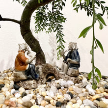 Load image into Gallery viewer, Acacia Howittii