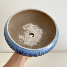 Load image into Gallery viewer, Dragon Scale Pot - Medium