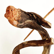 Load image into Gallery viewer, Bodhidharma Artwork