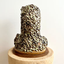 Load image into Gallery viewer, Zen Bodhidharma