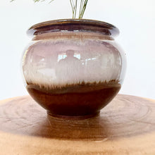 Load image into Gallery viewer, Asparagus Fern
