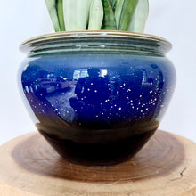 Load image into Gallery viewer, Sansevieria Moonshine
