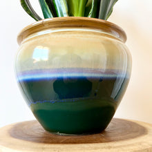 Load image into Gallery viewer, Sansevieria Whitney
