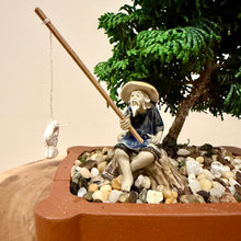 Load image into Gallery viewer, Hinoki Cypress
