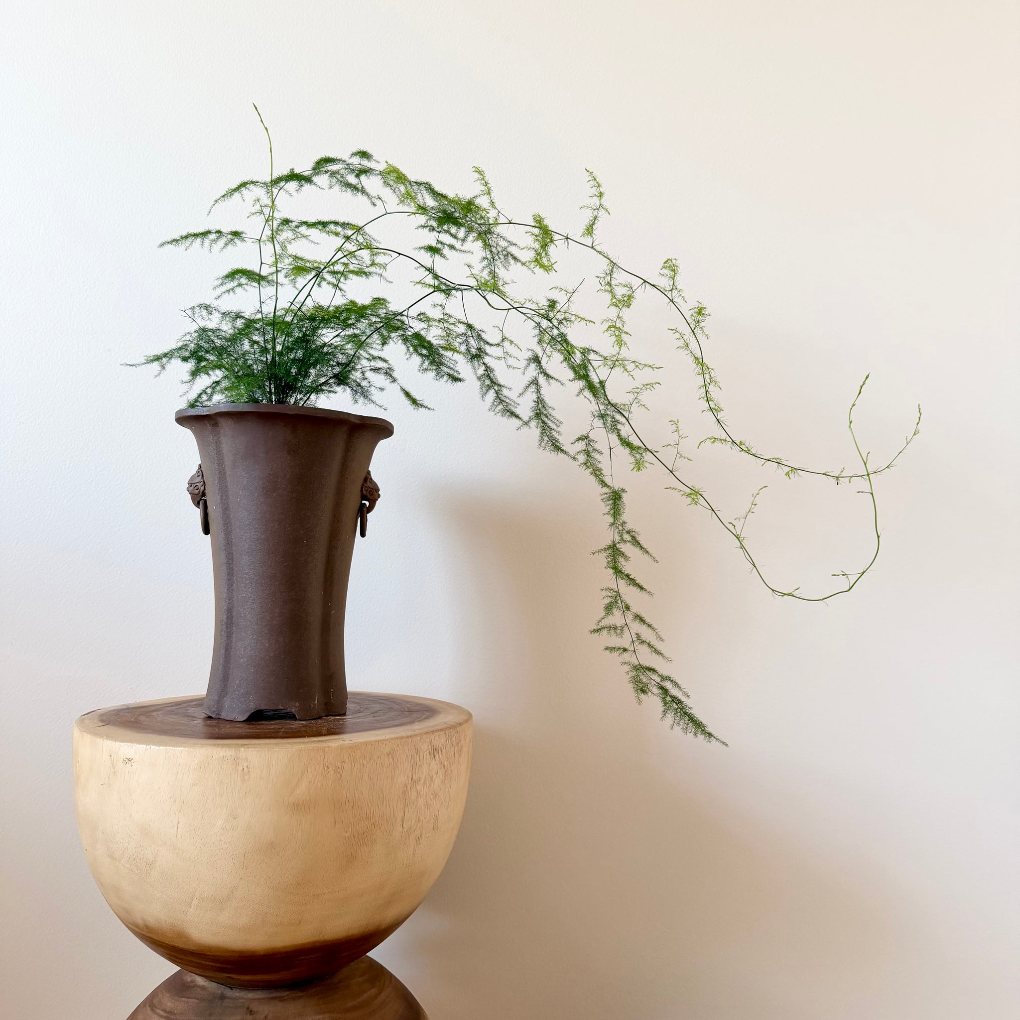 Products – B&G Plants and Pottery