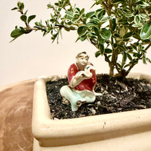 Load image into Gallery viewer, Variegated Serissa Snow Rose
