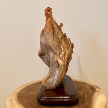 Load image into Gallery viewer, The Wise Man - Premium Eastern Arborvitae Carving
