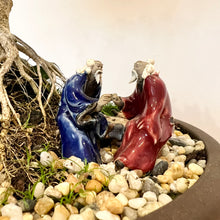 Load image into Gallery viewer, Japanese Buxus
