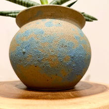 Load image into Gallery viewer, Sansevieria Boncel
