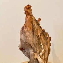 Load image into Gallery viewer, The Wise Man - Premium Eastern Arborvitae Carving
