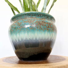 Load image into Gallery viewer, Sansevieria Silver Princess
