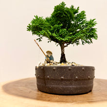 Load image into Gallery viewer, Hinoki Cypress
