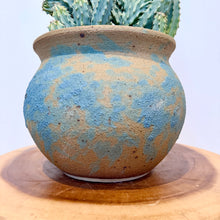 Load image into Gallery viewer, Cristata Geometrizans Cactus
