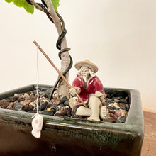 Load image into Gallery viewer, Ginkgo Biloba
