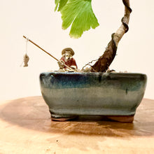 Load image into Gallery viewer, Ginkgo Biloba
