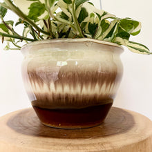 Load image into Gallery viewer, Pothos N’Joy
