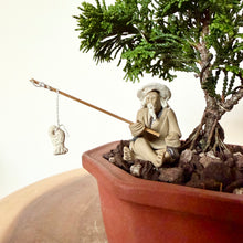 Load image into Gallery viewer, Hinoki Cypress
