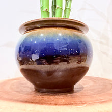 Load image into Gallery viewer, Lucky Bamboo

