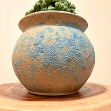Load image into Gallery viewer, Cereus Ming Thing
