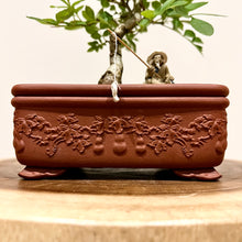 Load image into Gallery viewer, Desert Ash
