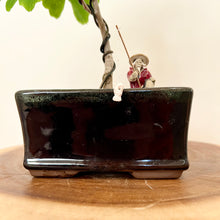 Load image into Gallery viewer, Ginkgo Biloba
