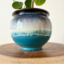 Load image into Gallery viewer, Chinese Money Plant
