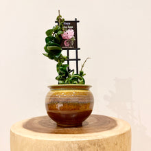 Load image into Gallery viewer, Hoya Indian Rope
