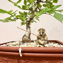 Load image into Gallery viewer, Desert Ash
