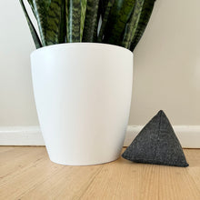 Load image into Gallery viewer, Sansevieria Zeylanica
