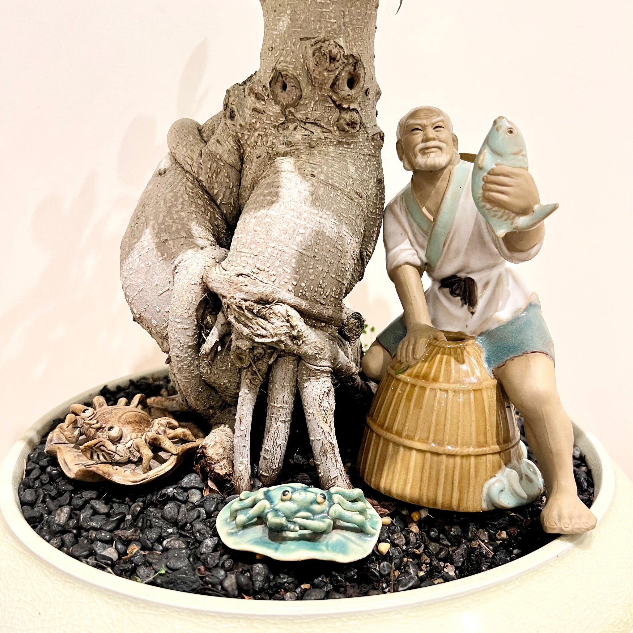 bonsai tree with fisherman XL Buddha Belly Bonsai with Fisherman – B&G Plants and Pottery