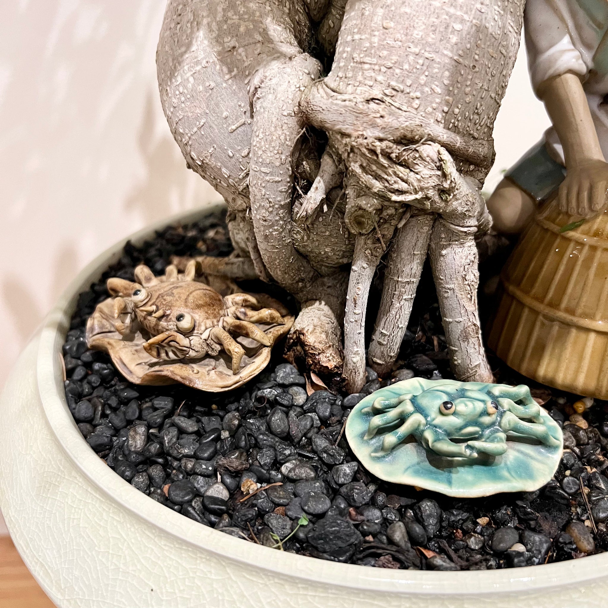 buddha belly bonsai tree XL Buddha Belly Bonsai with Fisherman – B&G Plants and Pottery